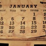 The calendars of the successful people